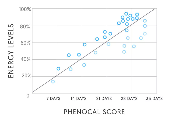 Phenocal Improvement graph