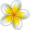 Spring Sale